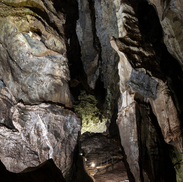 Wits Sterkfontein Caves